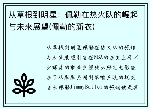 从草根到明星：佩勒在热火队的崛起与未来展望(佩勒的新衣)