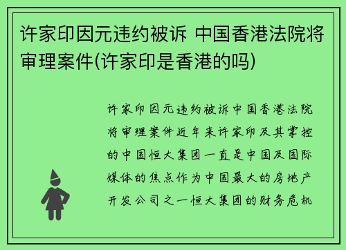 许家印因元违约被诉 中国香港法院将审理案件(许家印是香港的吗)